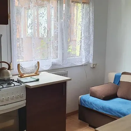 Domki Przy Lesnej Wiselka Exterior photo