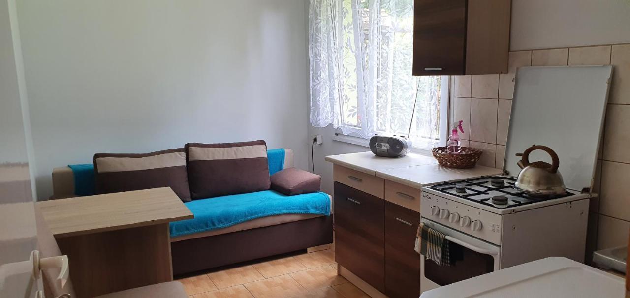 Holiday home Przy Lesnej Wiselka