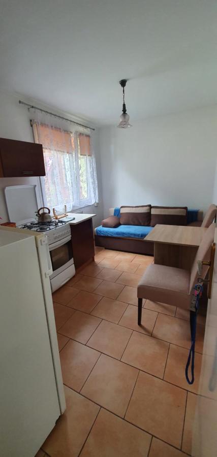Przy Lesnej Holiday home Wiselka